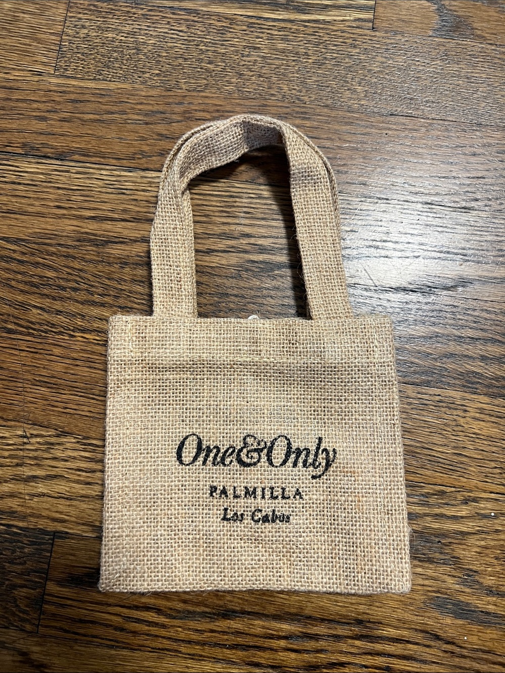 One & Only Palmilla mini bag